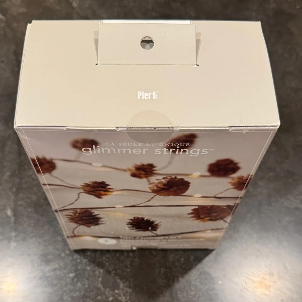 Pier 1 Pinecone Glimmer Strings Lights - Brown
